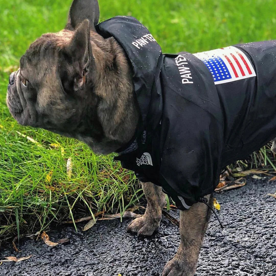 Waterproof Dog Raincoat with Hood – Perfect for Rainy and Chilly Weather
