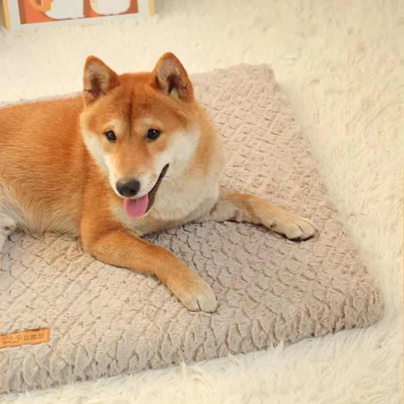 Orthopedic Dog Bed with Waterproof Cover and 3D Foam Cushion