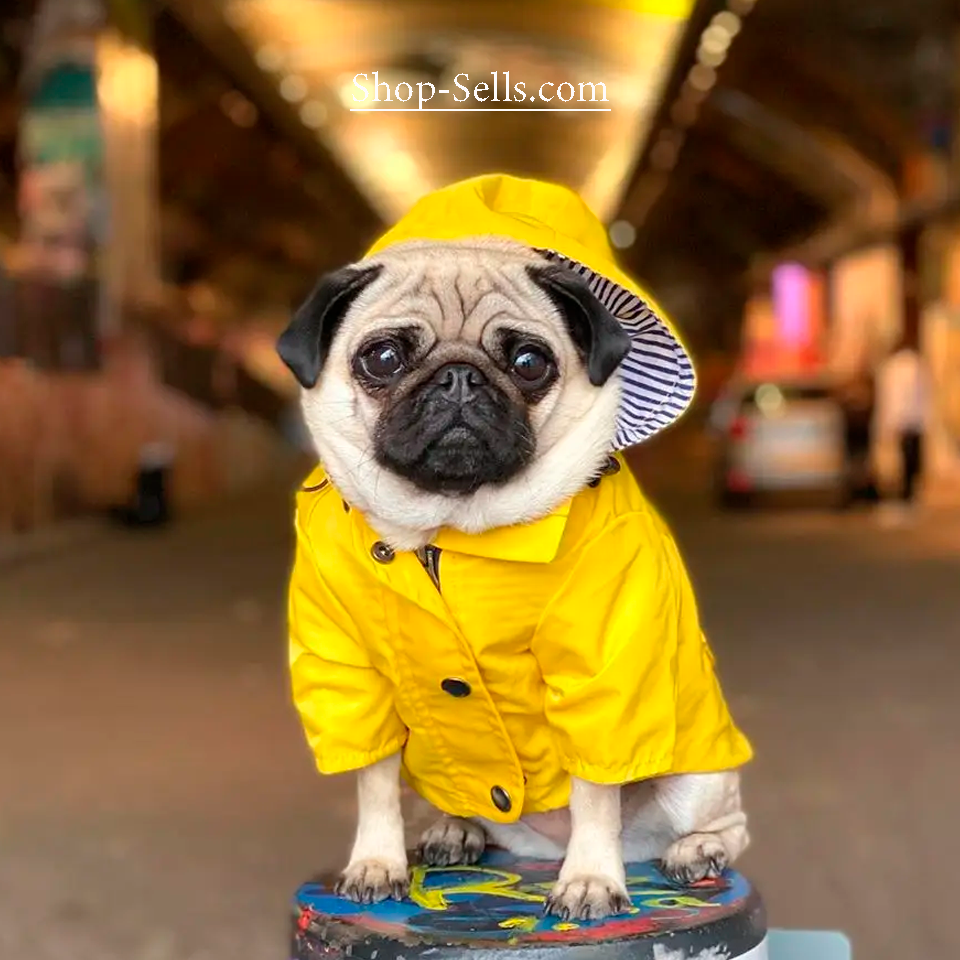 Waterproof Dog Raincoat with Hood — Stylish, Adjustable & All-Weather Protection