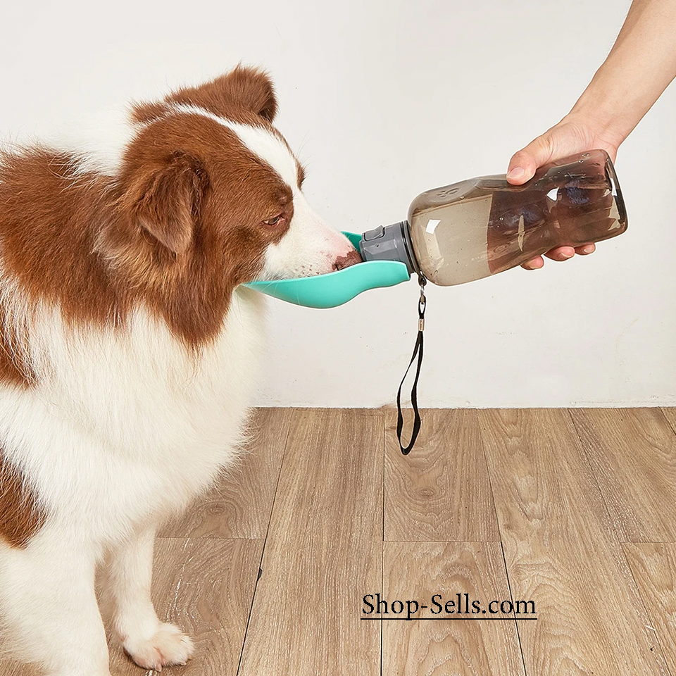 Water Bottle for Dogs, Cats & Other Pets – BPA-Free, No Spills, Safe for Their Health