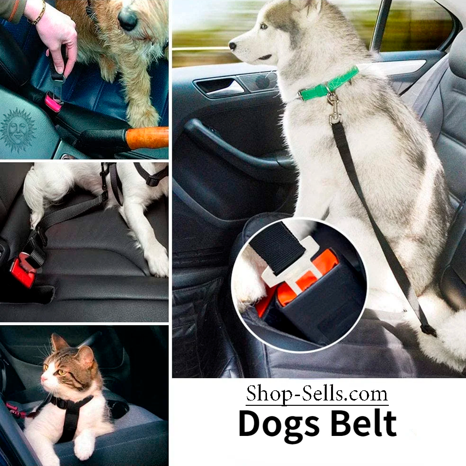 Adjustable Pet Car Seat Belt for Dogs & Cats | Durable, Safe & Colorful
