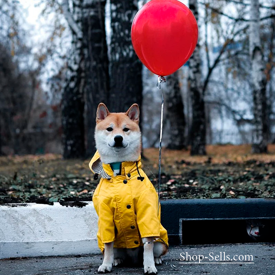 Waterproof Dog Raincoat with Hood — Stylish, Adjustable & All-Weather Protection
