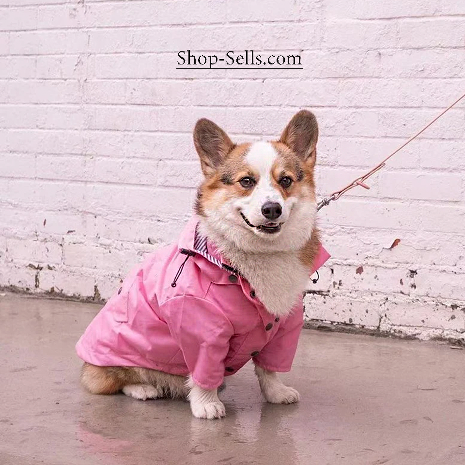 Waterproof Dog Raincoat with Hood — Stylish, Adjustable & All-Weather Protection