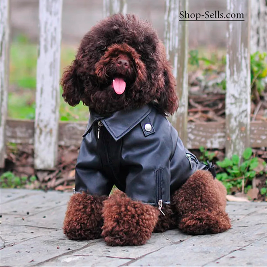 Stylish Winter Dog Jacket | Warm & Comfortable Pet Clothing