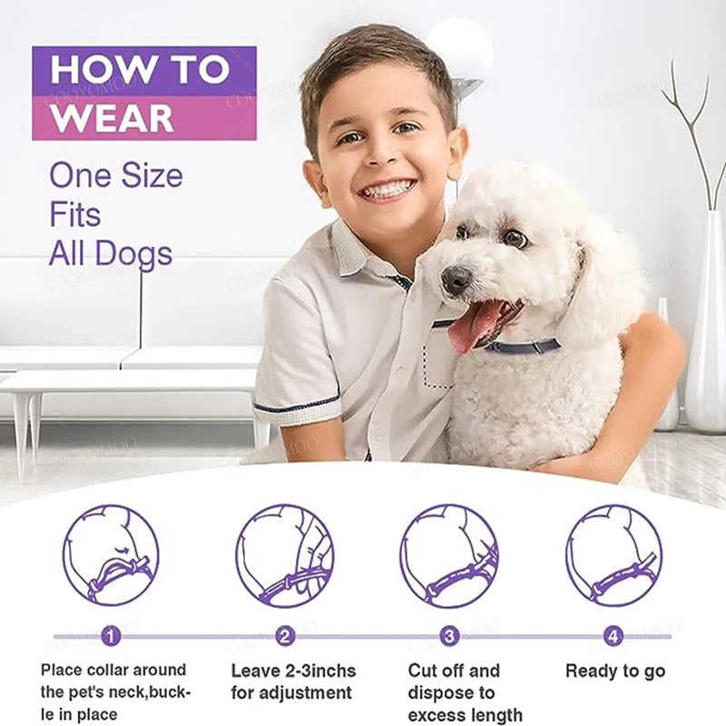 Natural Calming Collar for Dogs & Cats – Anxiety Relief for 30 Days