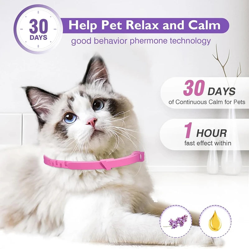 Natural Calming Collar for Dogs & Cats – Anxiety Relief for 30 Days
