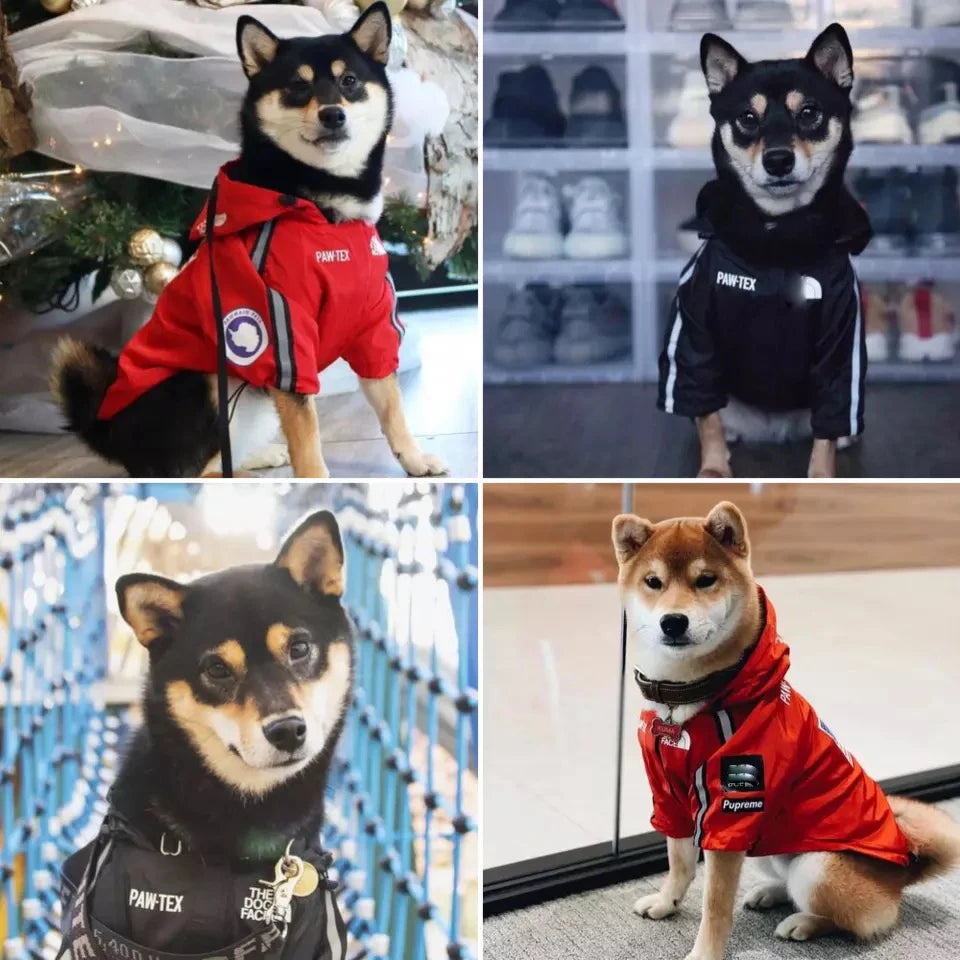 Waterproof Dog Raincoat with Hood – Perfect for Rainy and Chilly Weather