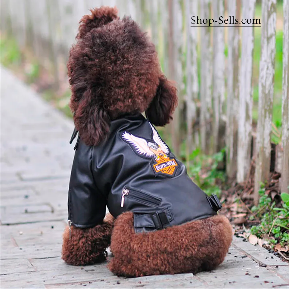 Stylish Winter Dog Jacket | Warm & Comfortable Pet Clothing
