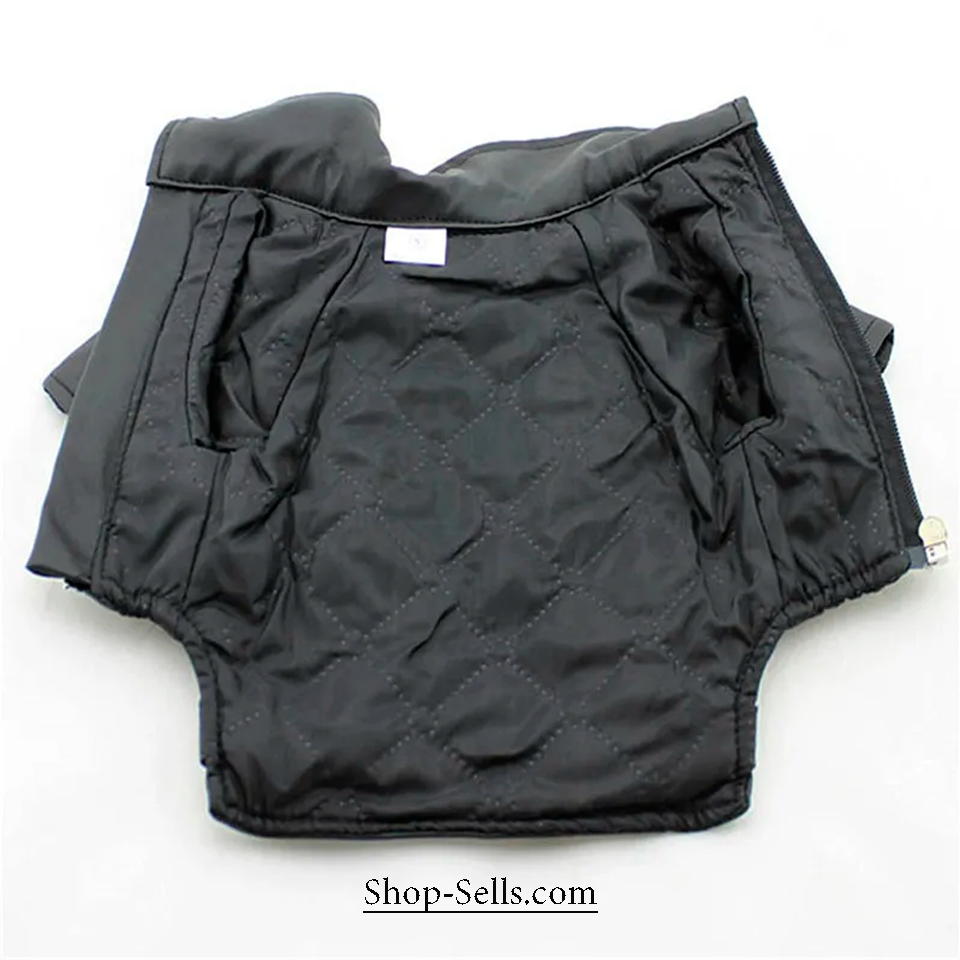 Stylish Winter Dog Jacket | Warm & Comfortable Pet Clothing