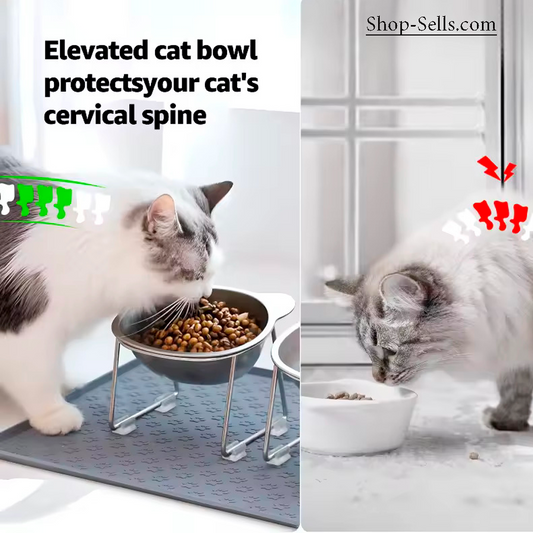 Elevated Cat Bowl 15° Tilt | 304 Stainless Steel Raised Pet Feeder for Cats and Puppies