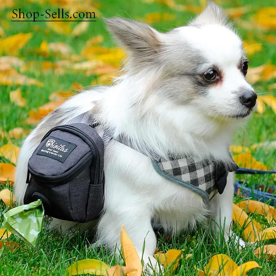Dog Walking Bag – For Treats, Waste Bags & Toys – Also for Cats & Raccoons