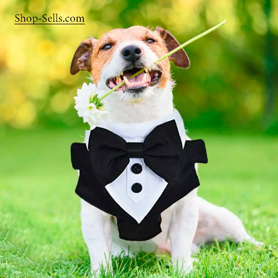 Dog Tuxedo Vest with Bowtie – Formal Harness for Weddings & Parties