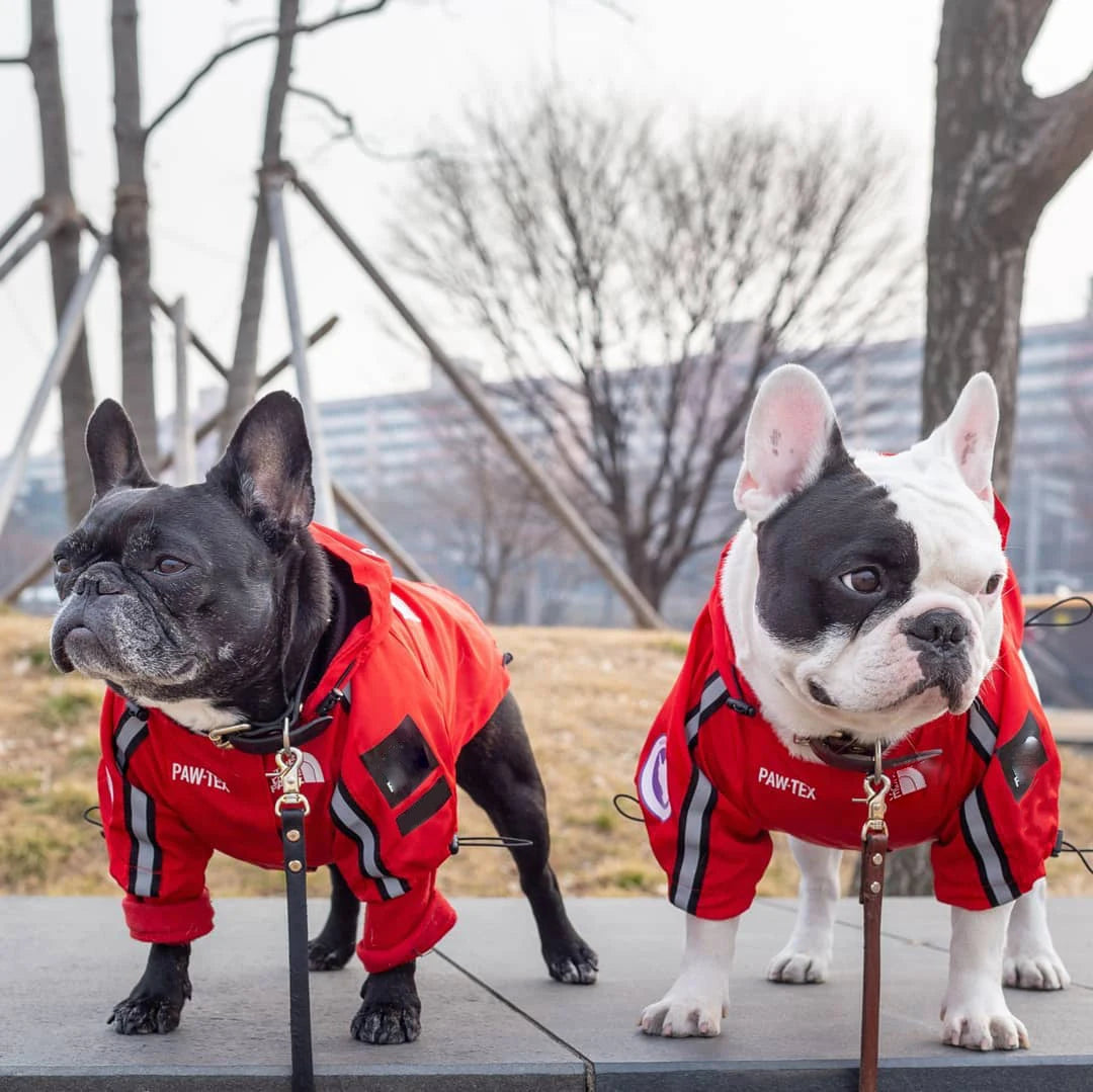 Waterproof Dog Raincoat with Hood – Perfect for Rainy and Chilly Weather