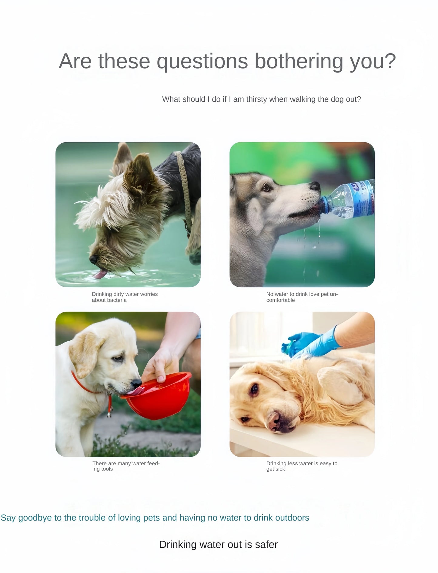 For cats, dogs, and even raccoons. Water and food bottle – BPA-free, perfect for walks and travel.