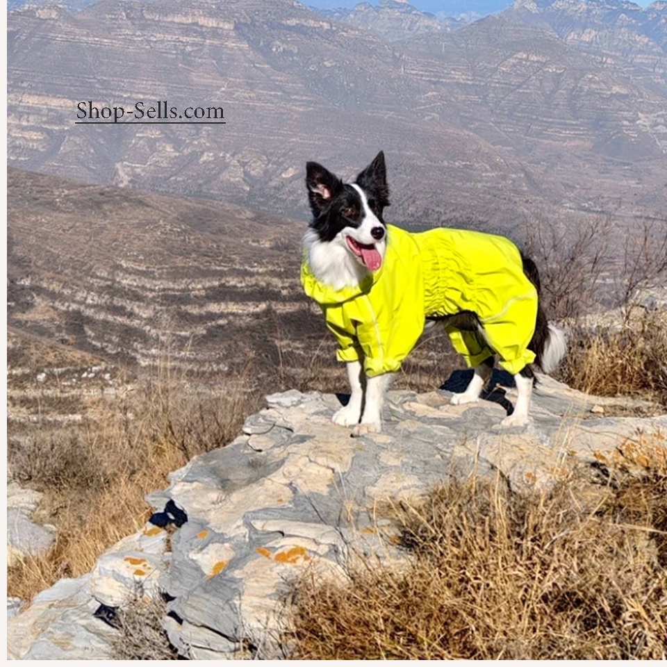 Waterproof Dog Raincoat — Lightweight Reflective Jacket for All Seasons