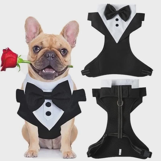 Dog Tuxedo Vest with Bowtie – Formal Harness for Weddings & Parties