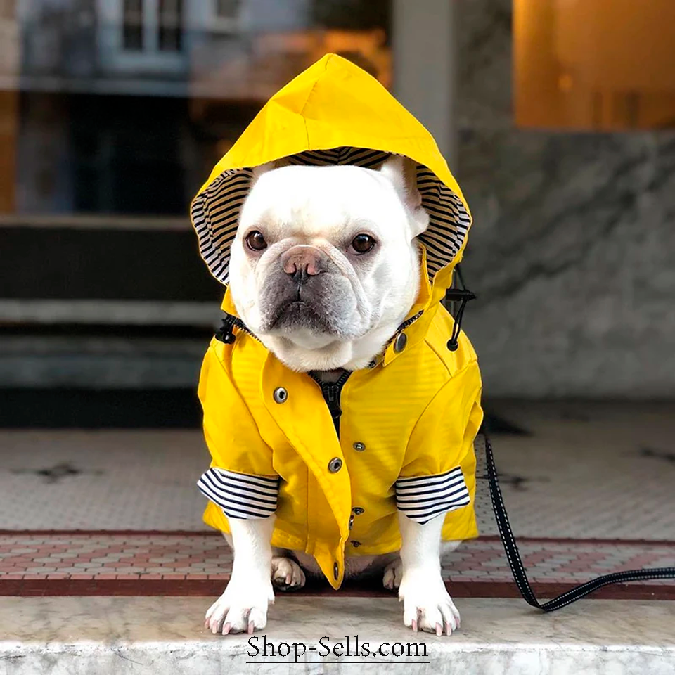 Waterproof Dog Raincoat with Hood — Stylish, Adjustable & All-Weather Protection